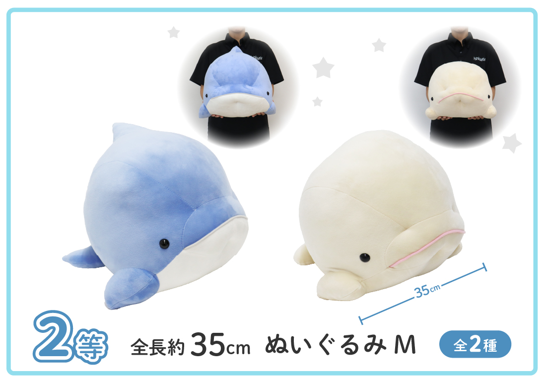 シーパラくじ もちもちイルカ・シロイルカ | シーパラ オンラインくじ